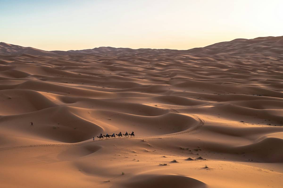 Sahara Exploration Maps showing detailed topography and marked oasis locations in the Algerian desert