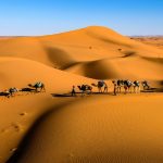 Desert Terrain Analysis: 7 Proven Tips to Avoid Costly Mistakes