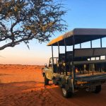 Dune Buggy Rentals: 7 Proven Tips to Avoid Costly Mistakes