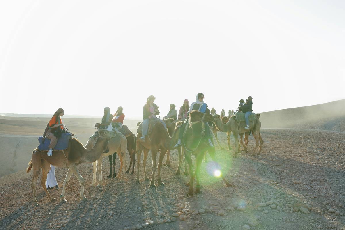 Oasis Discovery Guides: 7 Proven Tips to Avoid Costly Desert Safari Mistakes