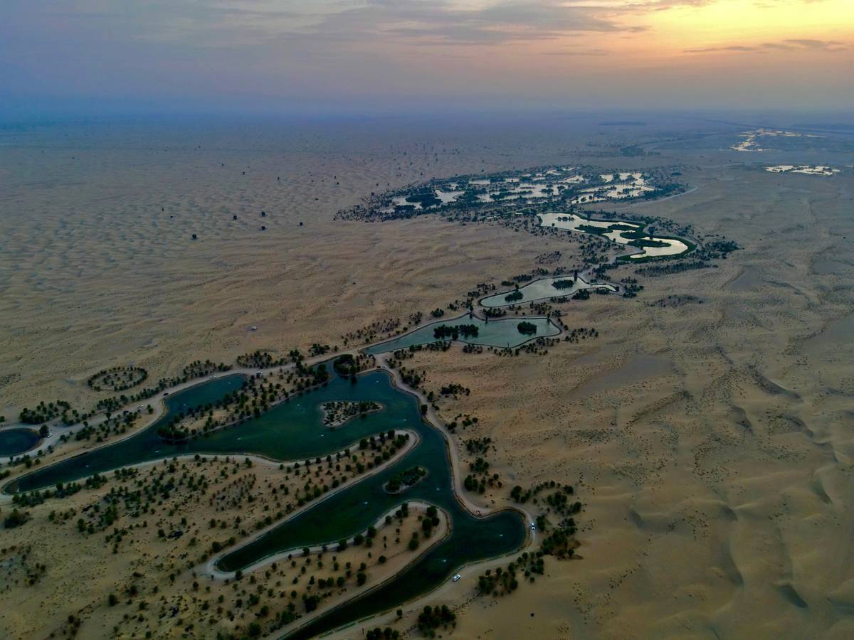 Oasis Discovery Guides leading travelers through Sahara dunes at sunset