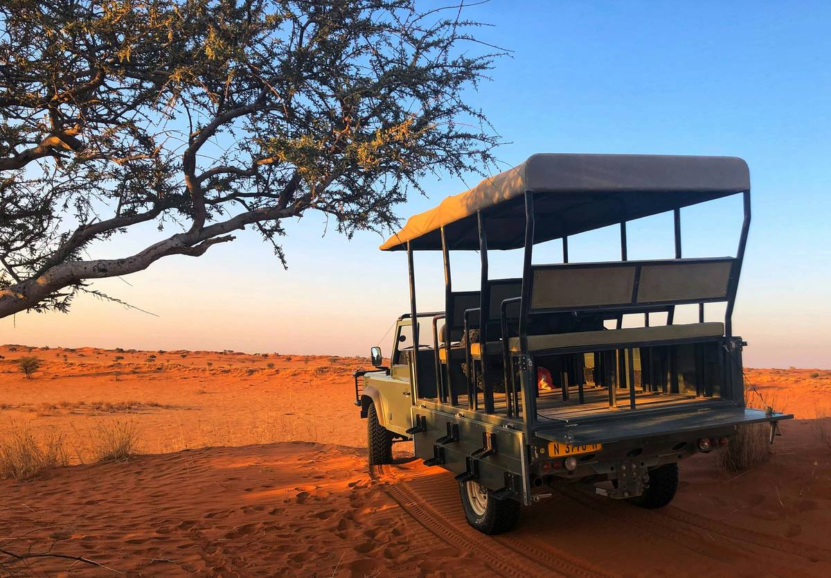 Sahara Exploration Maps: 7 Proven Tips to Avoid Costly Mistakes