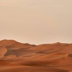Sandboarding Lessons: 7 Proven Tips to Avoid Painful Beginner Mistakes