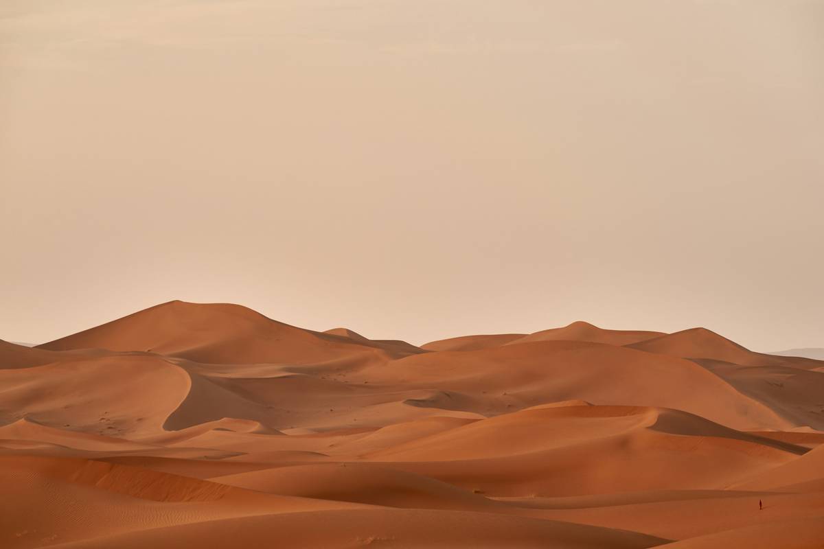Sandboarding Lessons: 7 Proven Tips to Avoid Painful Beginner Mistakes