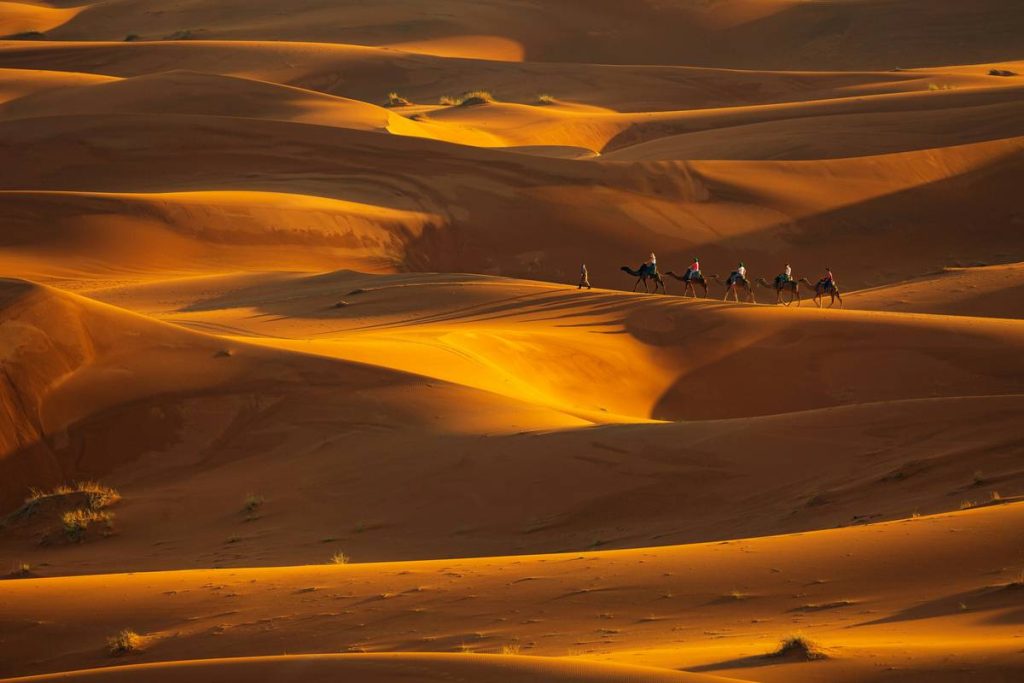 Sandstorm Safety Tips: 7 Proven Ways to Avoid Life-Threatening Mistakes