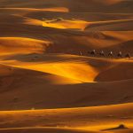 Sandstorm Safety Tips: 7 Proven Ways to Avoid Life-Threatening Mistakes